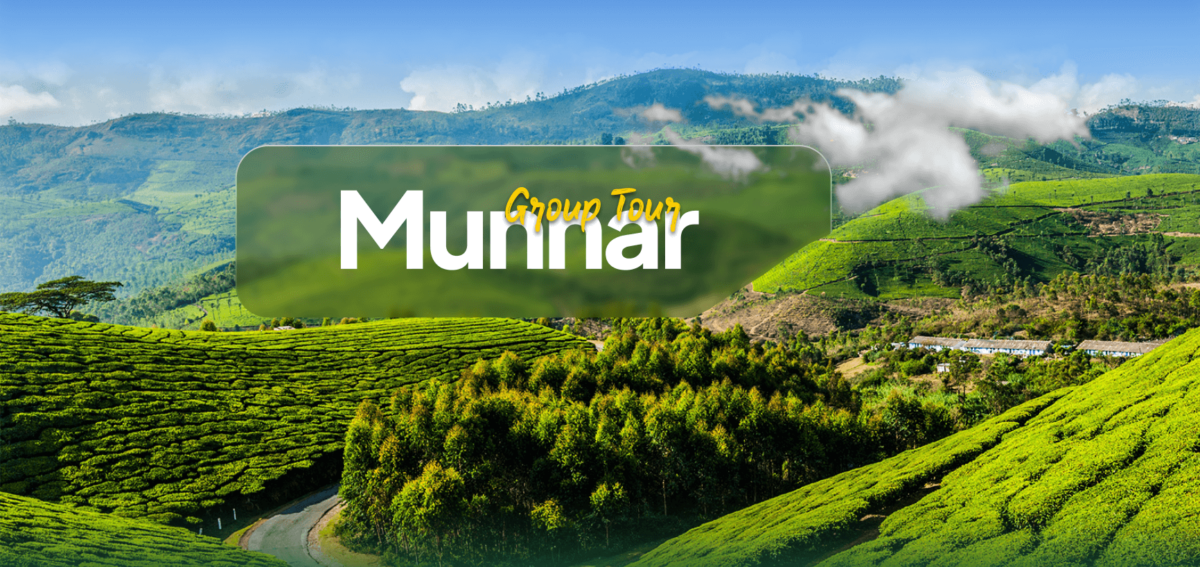 Explore Munnar: Best Kerala Tour Packages with Eastman Tours