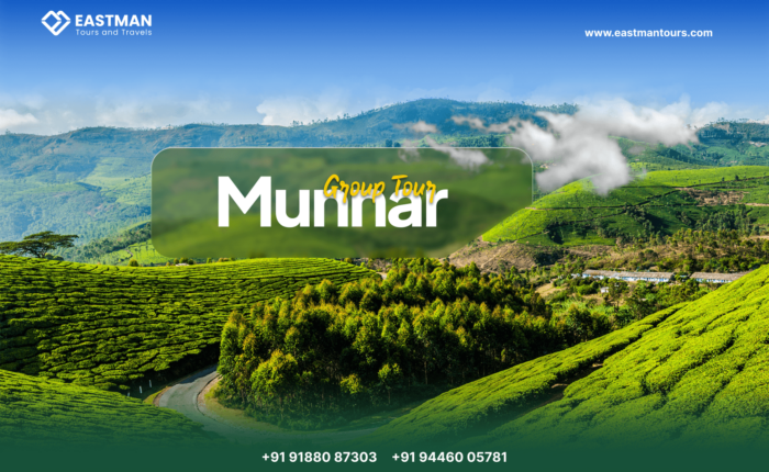 Explore Munnar: Best Kerala Tour Packages with Eastman Tours