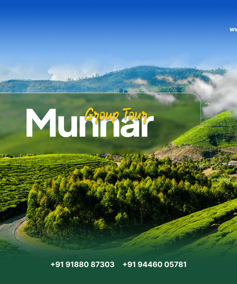 Explore Munnar: Best Kerala Tour Packages with Eastman Tours