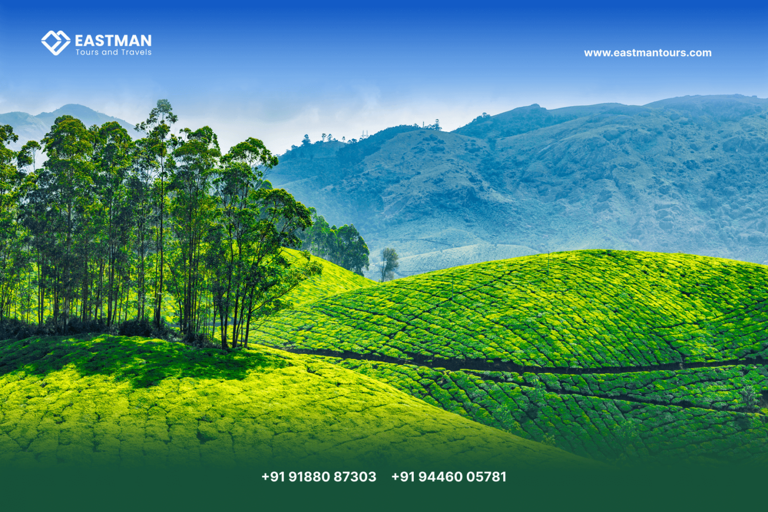 Discover Munnar Tea Gardens: Best Kerala Tour Packages with Eastman Tours